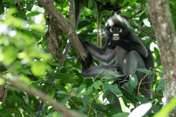 Selangor: Paya Indah Discovery Wetlands at Gamuda Cove - Frequently Asked Questions