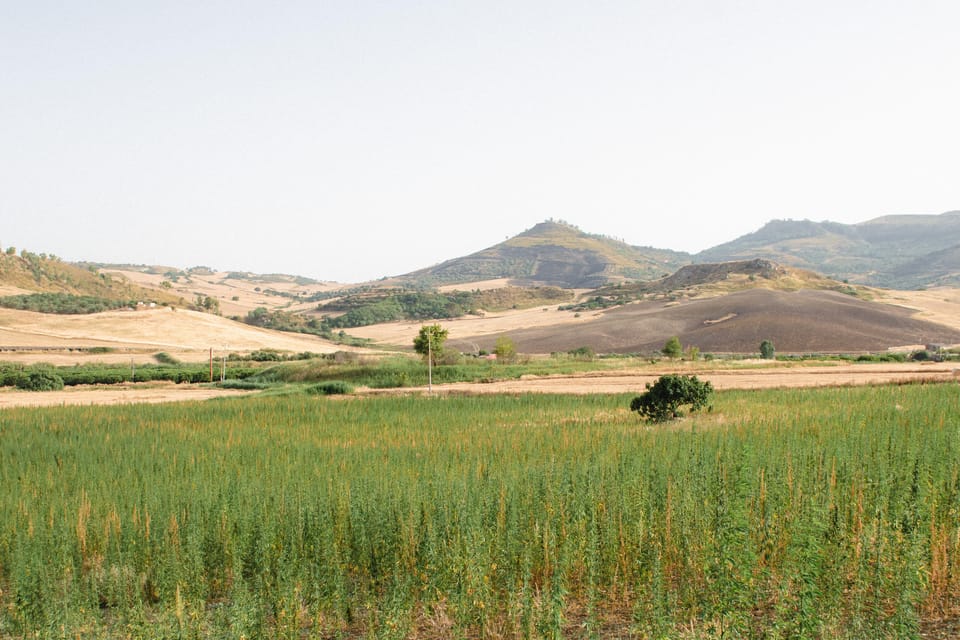 Sensory Walk With Lunch in the Caltagirone Countryside - Culinary Delights of Sicily