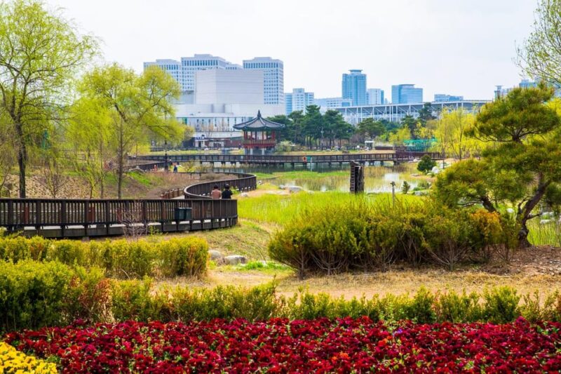 Seoul: Autumn Jangtaesan Recreational Forest One Day Tour - Important Information and Policies
