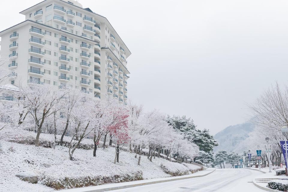 Seoul: Elysian Ski Resort & Eobi Ice Valley - Important Information