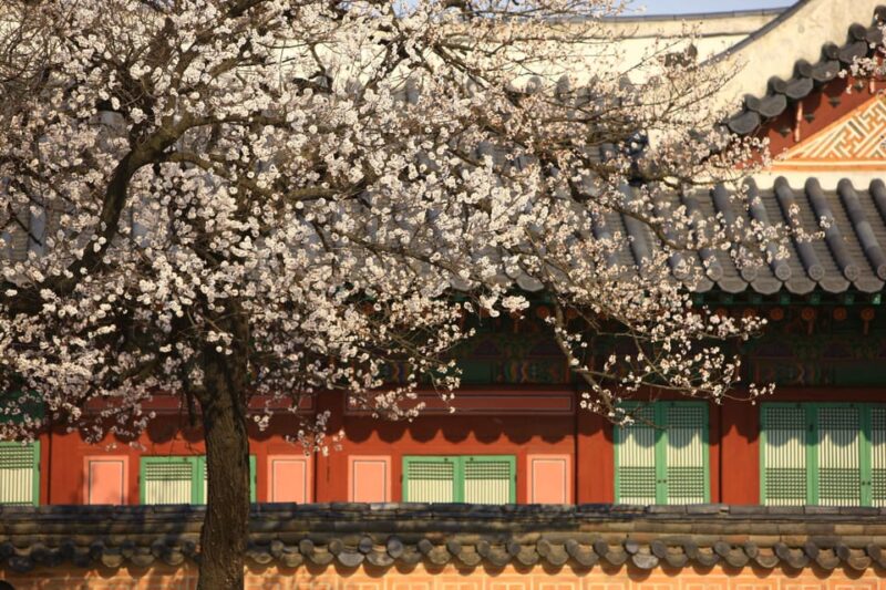Seoul: Gyeongbokgung Palace Tour & Lunch at Authentic Market - Gyeongbokgung Palace Exploration