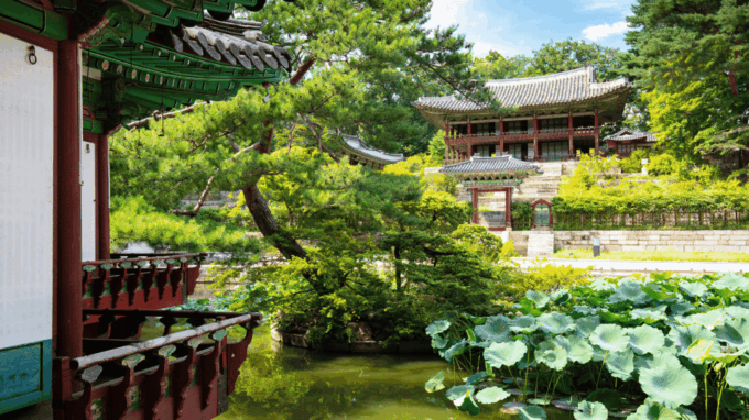Seoul Korea 7 Day Family Tour Lotte World Everland DMZ - Adventure and Farewell