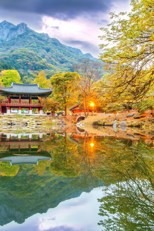 Seoul: Naejangsan National Park Autumn Foliage Day Tour - Important Information