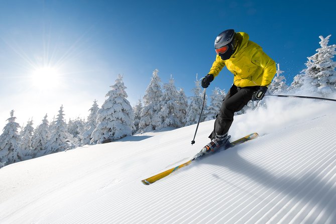 Seoul Ski Tour at Jisan Forest Resort - Equipment Rental Options