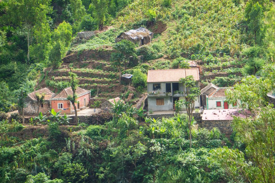 Serra Malagueta Natural Park: Hike to Gongon Valley & Lunch - Transportation Details