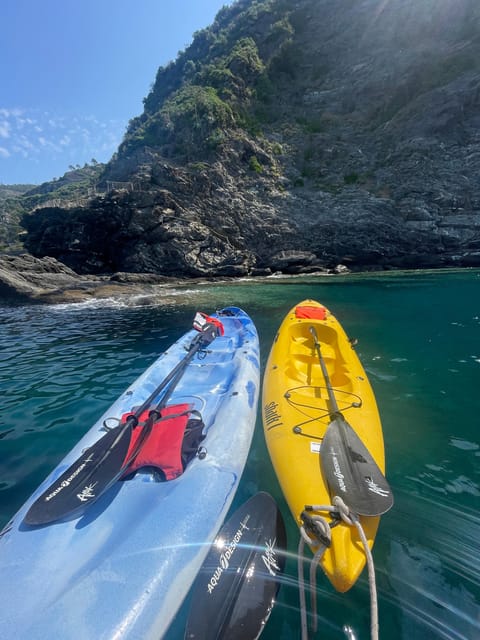 SHARK CAVE KAYAK TOUR - Customer Experiences