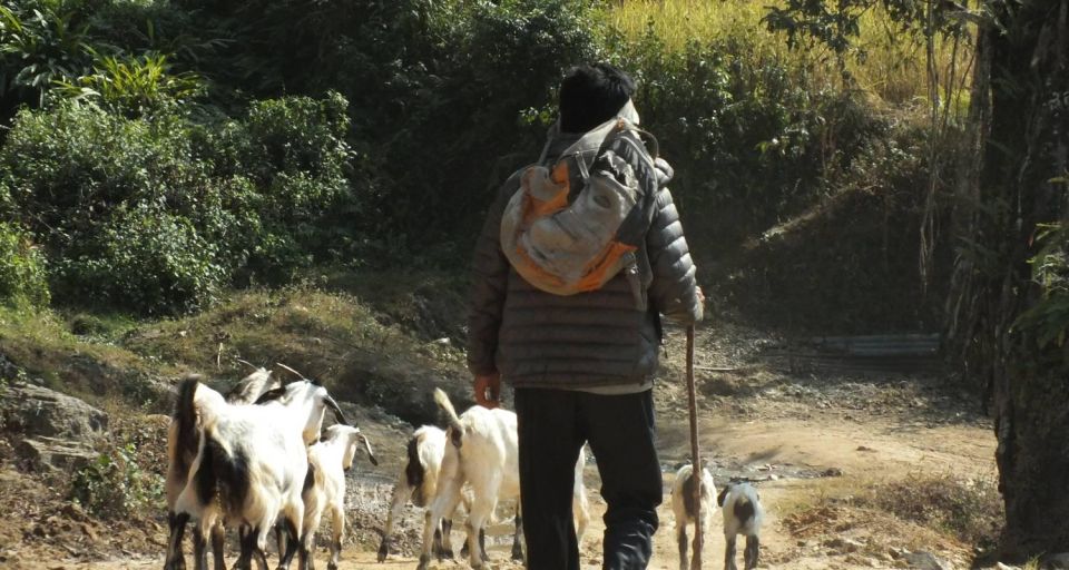 Shivapuri National Park: Peaceful and Silent Hiking - Unique Experiences in Nature