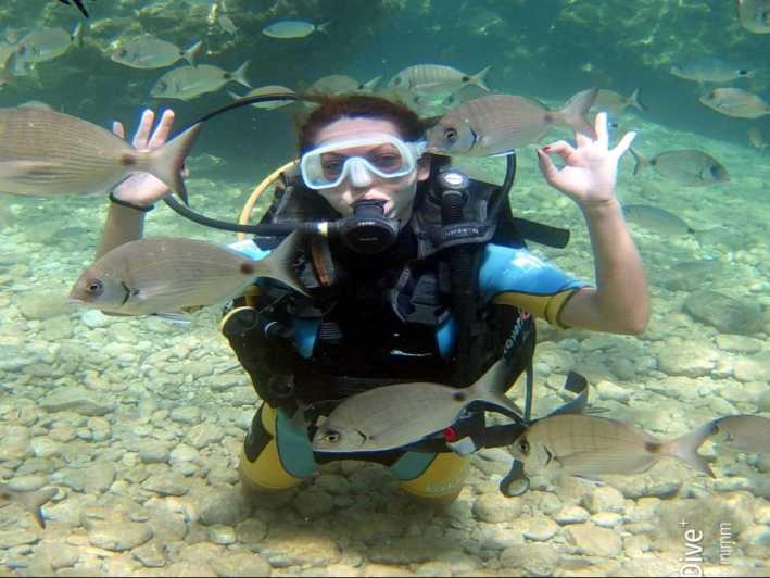 Side Scuba Diving: Explore Underwater Marvels - Customer Feedback