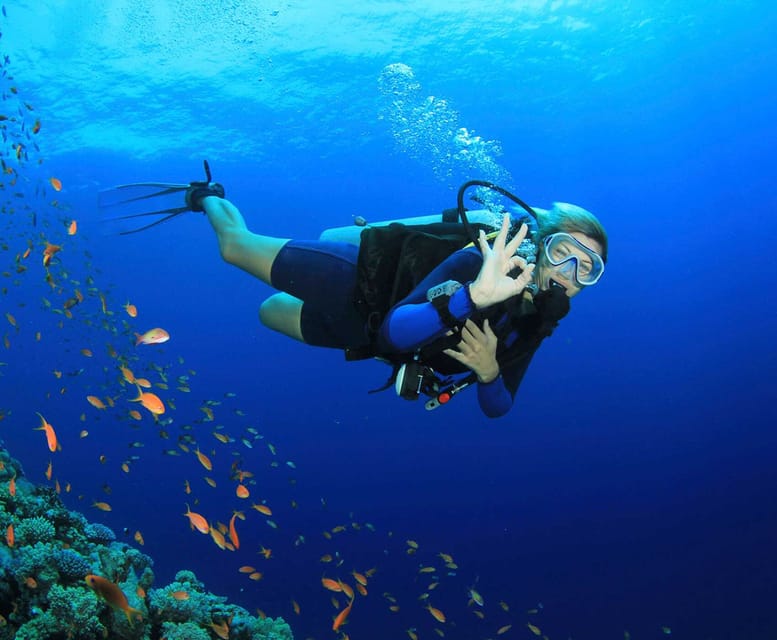 Side: Scuba Diving Tour Journey To The Depths Of The Blue - Booking Information