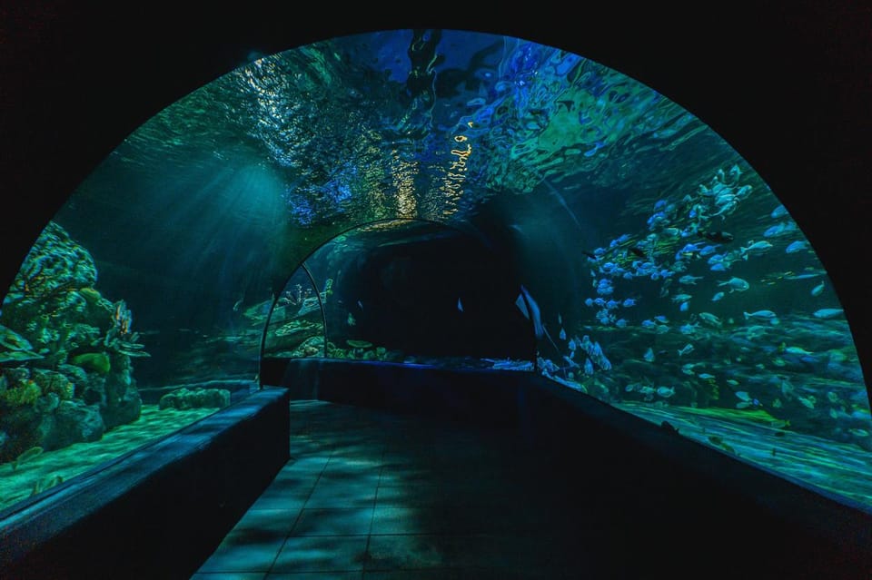 Siem Reab: Angkor Wildlife & Aquarium - Inclusions and Additional Information