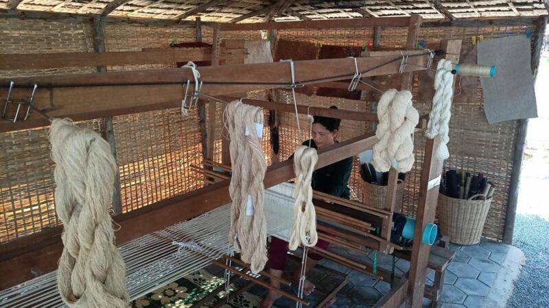 Siem Reap: Angkor Silk Farm & Lotus Silk Farm With Transfers - Experience at Lotus Silk Farm