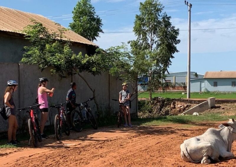 Siem Reap Bike Tour: Bike Countryside Half Day Tour - Pricing Details