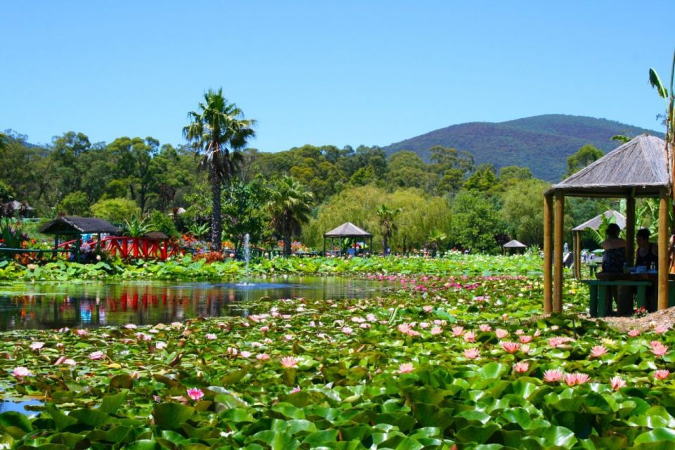 Siem Reap: Countryside With City Tour - Inclusions of the Tour