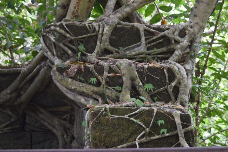 Siem Reap: Day Trip to Koh Ker and Beng Mealea Temples - Beng Mealea Temple Insights