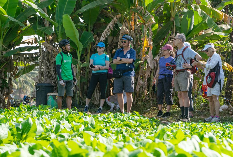 Siem Reap: Guided Countryside Bike Tour - Customer Reviews and Ratings