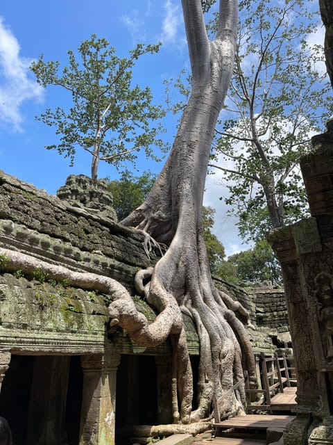 Siem Reap: Private Angkor Wat Sunrise Experience - Recommendations for Visitors