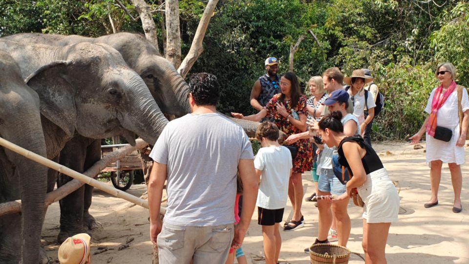 Siem Reap: Small Group Tour of Kulen Elephant Forest - Detailed Itinerary