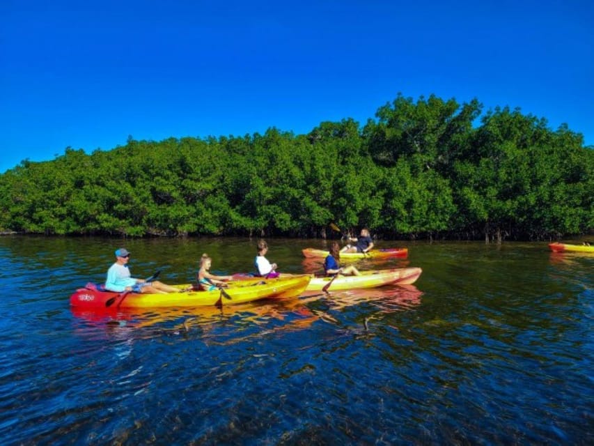 Siesta Key: Mangrove Kayak or Paddleboard Tour - Secret Beach Excursion