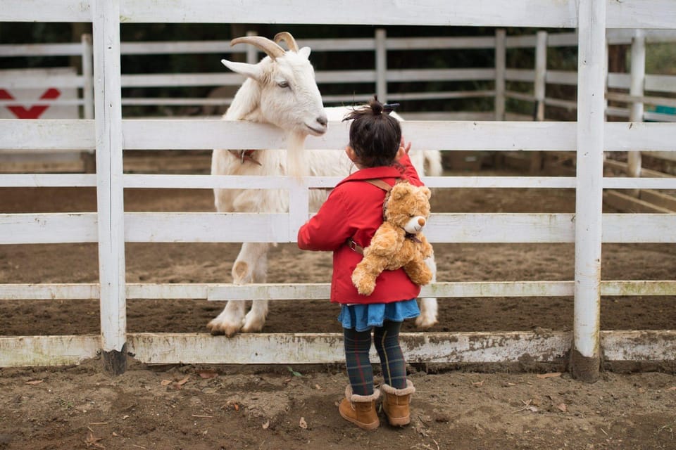 Sightseeing and Educational Farm Tour on Bainbridge Island - Scenic Locations on the Island