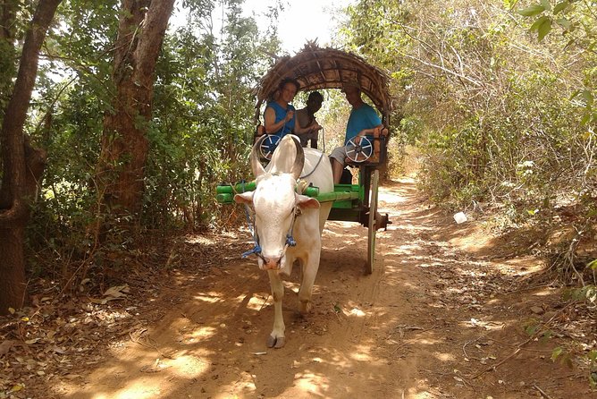 Sigiriya Day Tour - Dambulla Cave Temple - Inclusions and Amenities