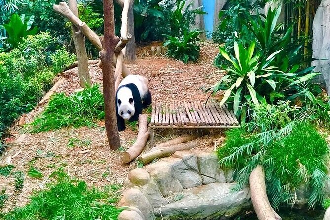 Singapore Zoo Entry Ticket - Accessibility Features