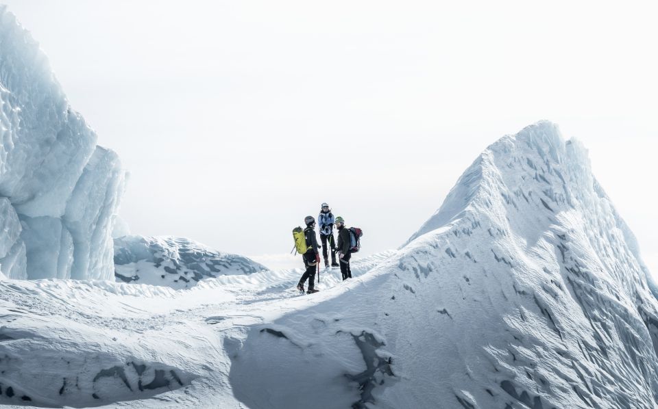 Skaftafell: Guided Glacier Hike on Falljökull - Highlights of the Experience