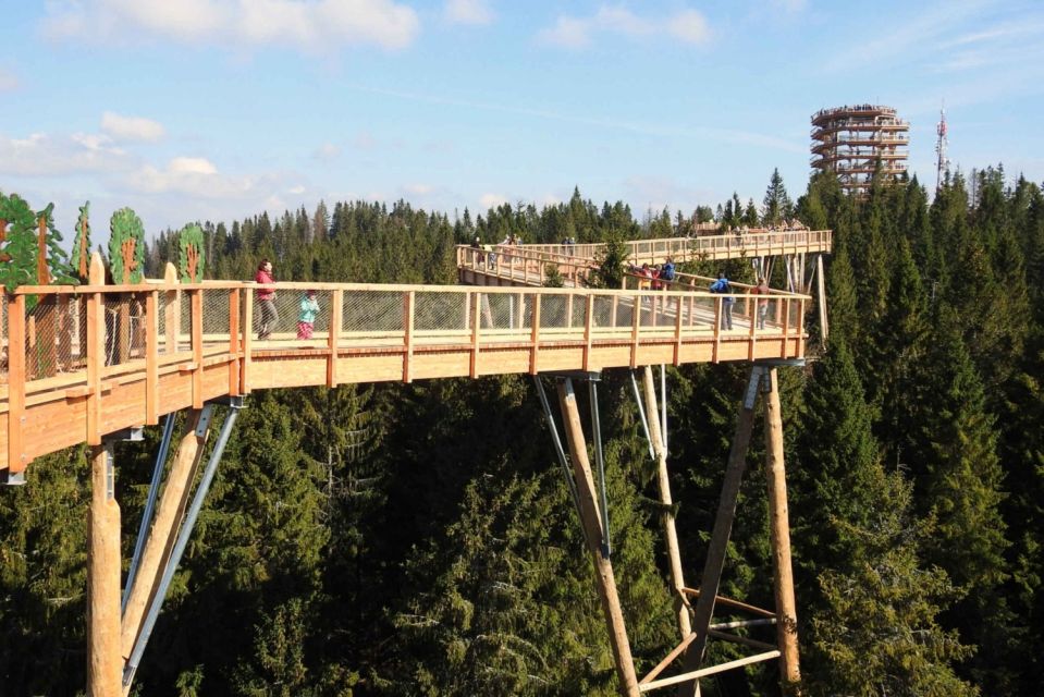 Slovakia: Treetop Walk & Thermal Baths From Krakow - Important Information