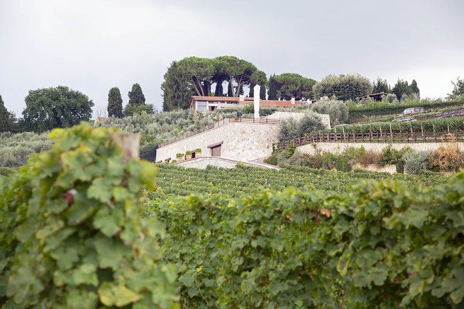 Small-Group Exclusive Winery and Wine Tasting Tour in Frascati - Pricing and Guarantee