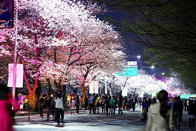 Smallgroup 7day Korea Package Tour With Seoul Gyeongju Busan Jeju - Travel Tips and Recommendations