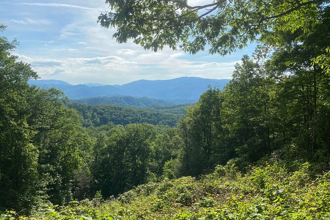 Smoky Mountains Roaring Fork Guided Sightseeing Tour by Jeep - Accessibility Information