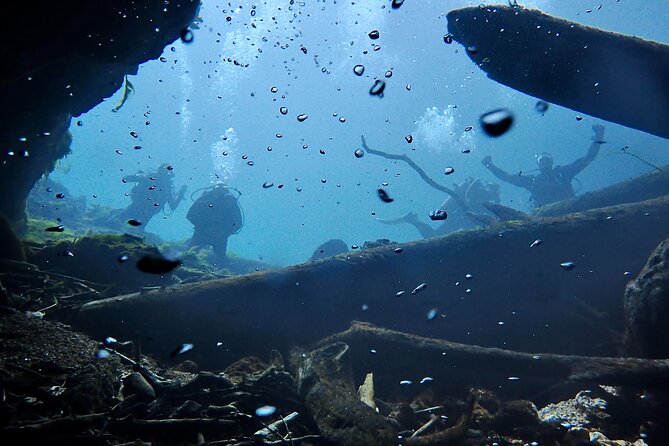 Snorkel Or Dive The Amazing Rainbow River Florida - Booking and Cancellation Policy