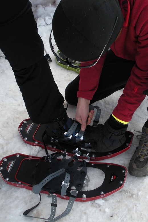 Snowshoeing Experience - Important Considerations
