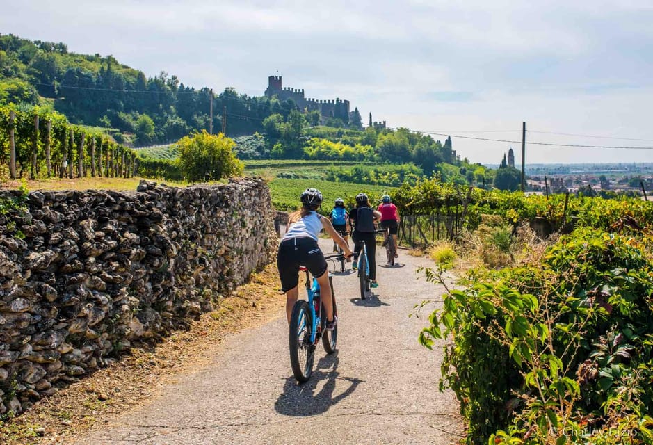 Soave by Bike, Olive Oil, Wine, the Countryside, the Castle. - Planning Your Soave Journey