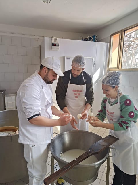 Sorrento Coast Mozzarella Tasting & Cheese Making Experience - Accessibility Features