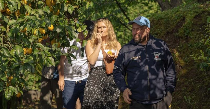 Sorrento: Lemons Grove, Farm Tour&Tasting and Pizza Class - Pizza Class Details