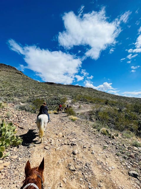 Southwest Horseback Riding (pickup in Laughlin) - Participant Requirements