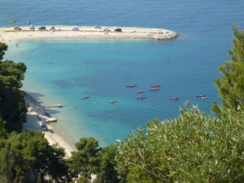 Split 4-Hour Guided Sea Kayak Tour - Customer Reviews and Ratings