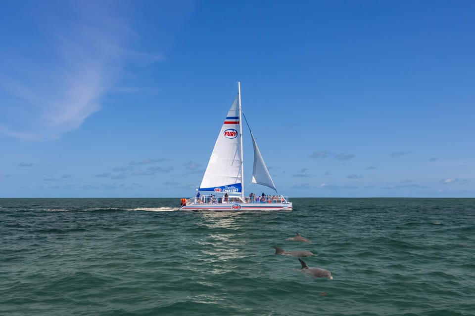 St.Augustine: Dolphin Watch & Historical Harbor Tour +Drinks - Inclusions and Restrictions