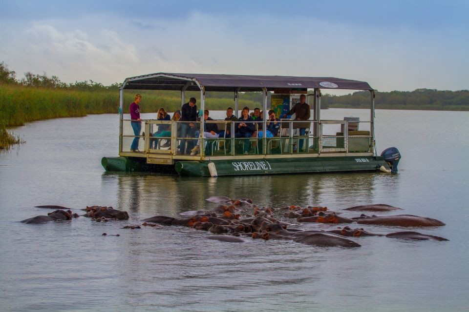 St Lucia: Hippo and Crocodile Cruise on a 15-Seat Vessel - Wildlife Sightings and Encounters