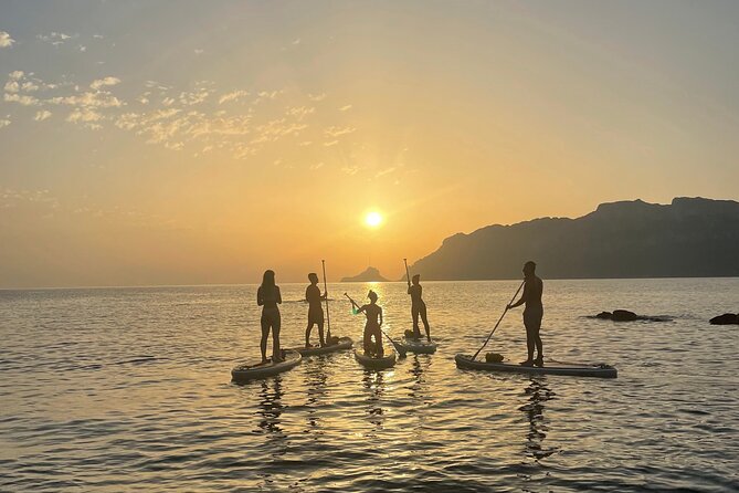 Stand Up Paddle Tour Dolphins Experience Golfo Aranci - Typical Sardinian Products