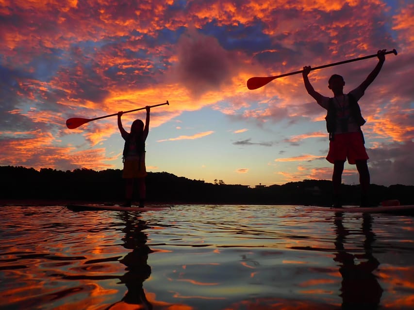 Stand Up Paddleboard: Amazing Sunrise at Mangrove River - What to Bring