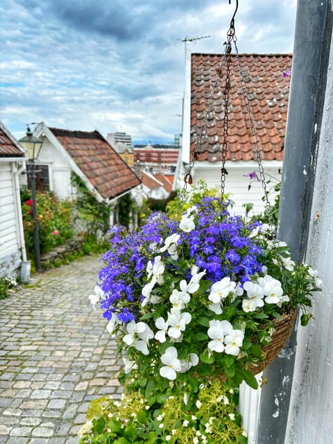 Stavanger Guided City Tour - Customer Reviews