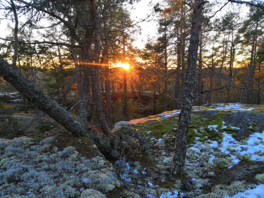 Stockholm: Winter Nature Hike With Campfire Lunch - Tips for a Great Hike