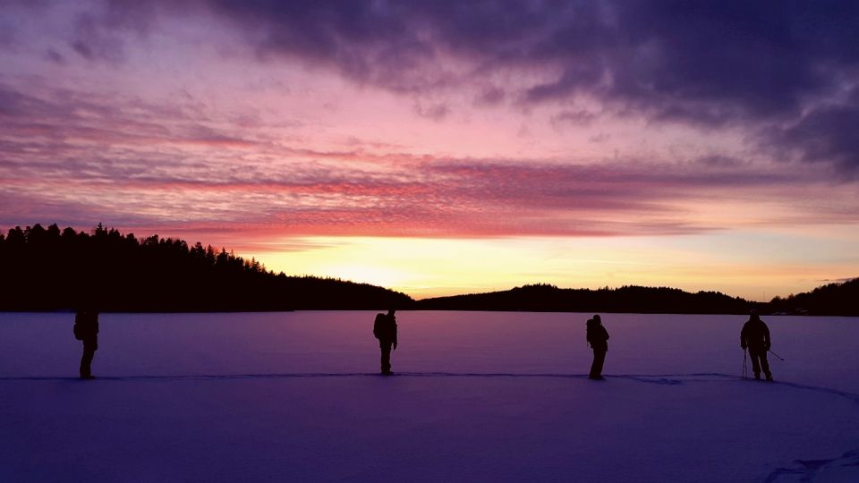 Stockholm: Winter Snowshoe Full-Day Hike - Customer Feedback