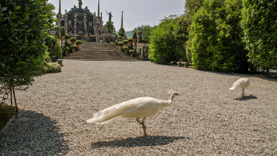 Stresa and the Borromean Islands: Italian Lakes Private Tour - Participant Guidelines