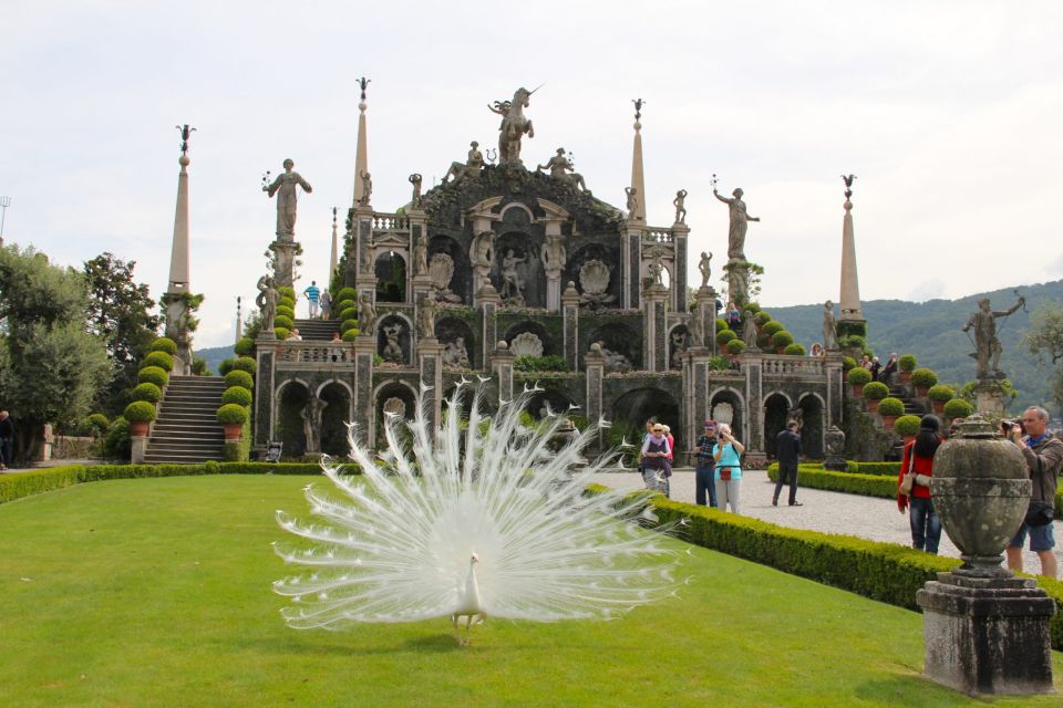 Stresa: Boat Tour of the 3 Borromean Islands Free Departure - Meeting Point Details