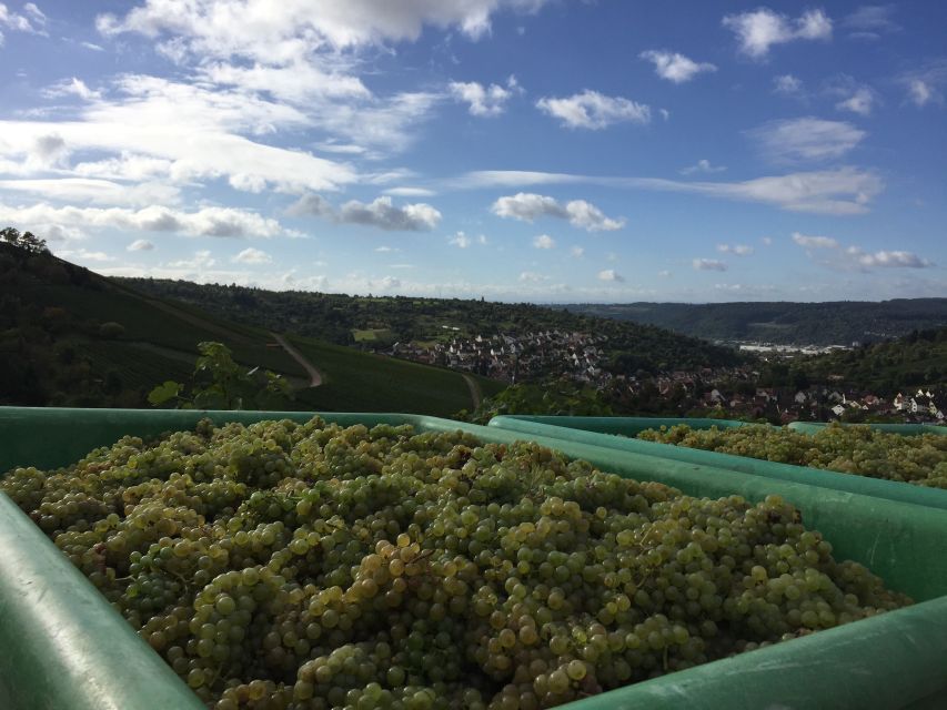 Stuttgart: Guided Wine Walk & Wine Tasting - Booking Your Wine Experience