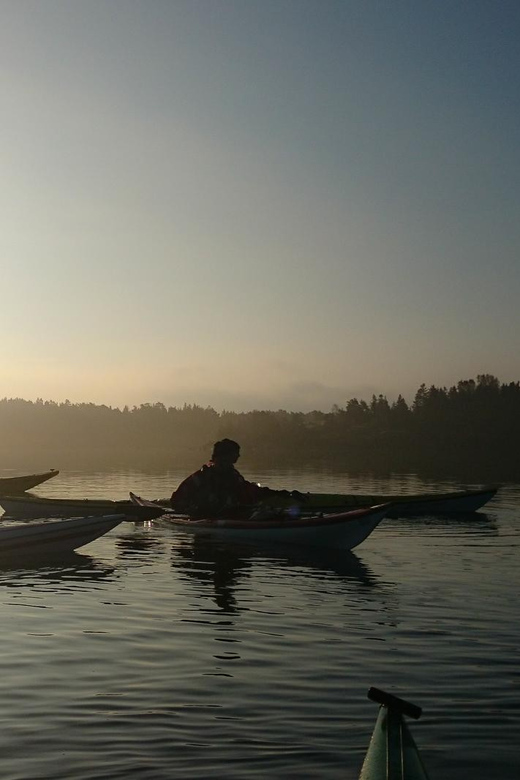 Summer Evening in a Sea Kayak, Turku Archipelago - Participant Eligibility Requirements