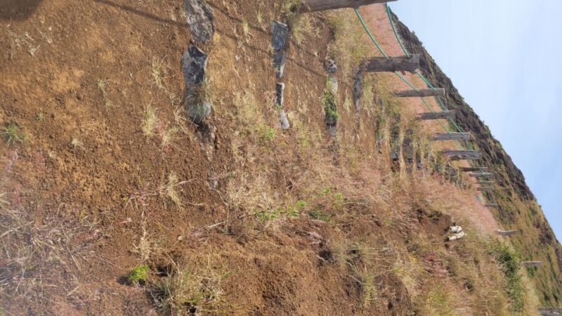 Summit Hike Monte Gordo - Safety Considerations