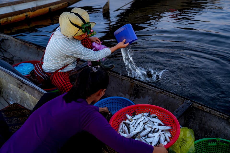 Sunrise Floating Market on Tam Giang Lagoon - Child Policy